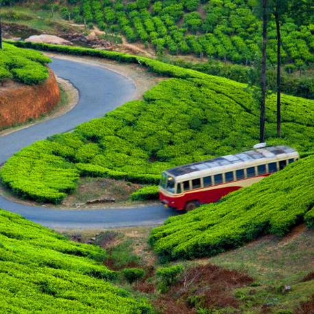 munnar-02